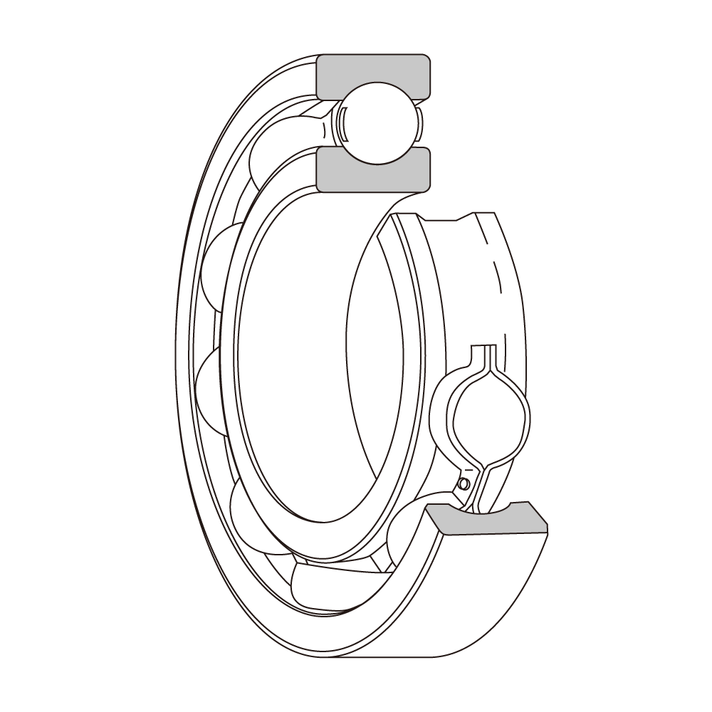 3D model cross-section of a deep groove ball bearing with the inner ring raceway, cage, balls, and outer ring visible.