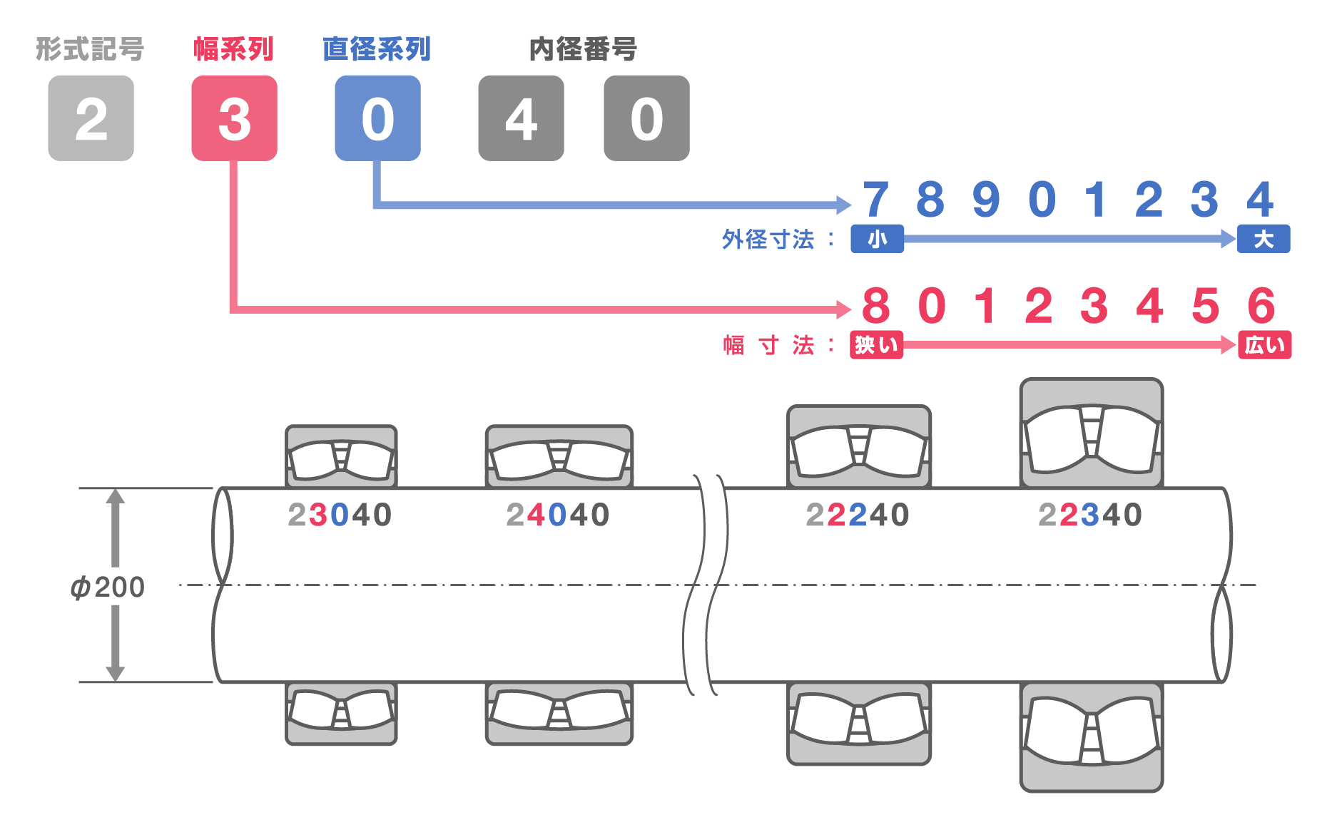 ラジアル軸受の幅系列と直径系列