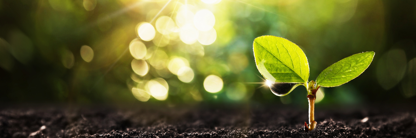 Green Office - 5 Green Office - 5