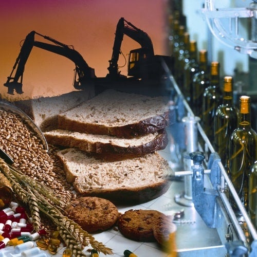 IN_food and construction image Sector Specific