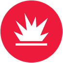 Shock and Vibratory Loads