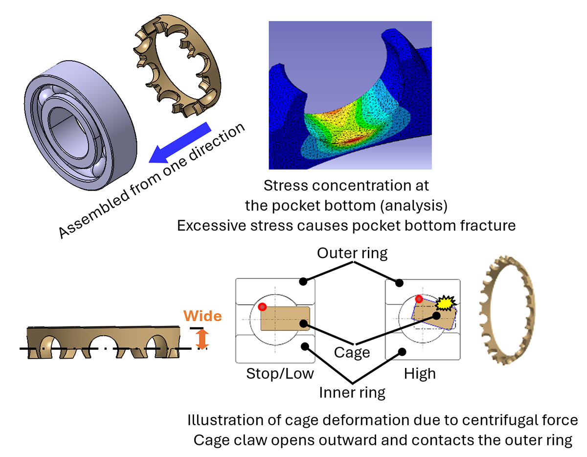 Fig.4　Issues with Conventional Crown-Shaped plastic Cages
