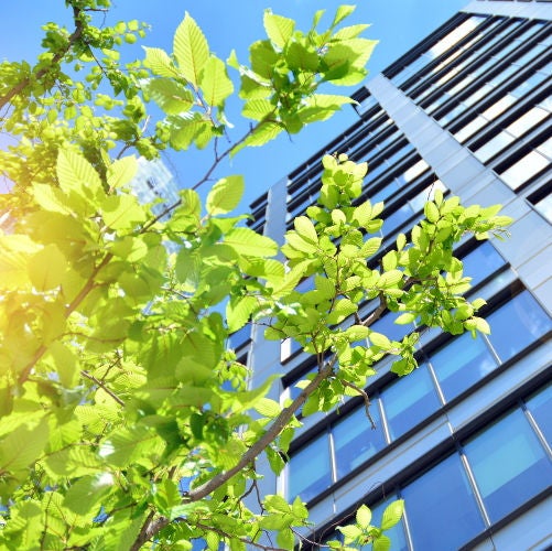 CON_Building_Green_shutterstock_1728523681_500x500.jpg CON_Building_Green_shutterstock_1728523681_500x500.jpg