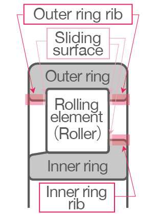 Cylindrical Roller Bearing Components Diagram of the structure of a cylindrical roller bearing with locations of outer and inner ring ribs highlighted.