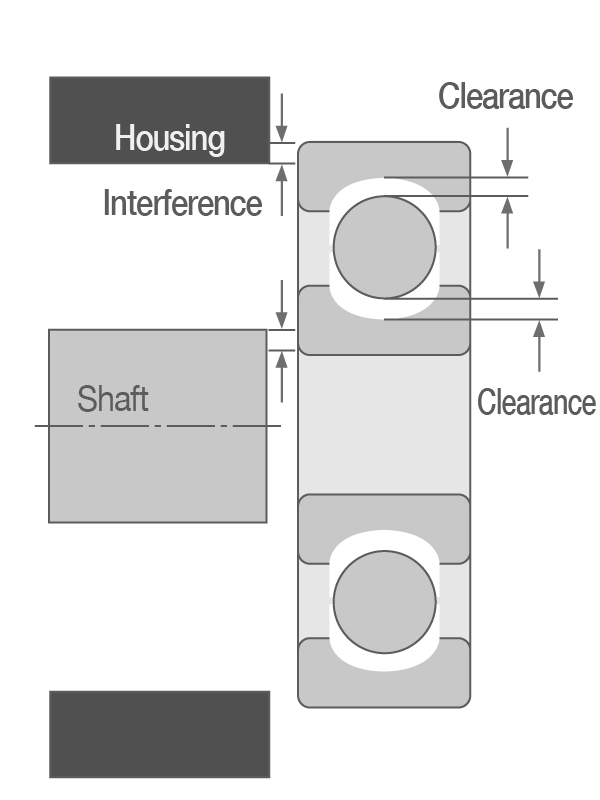 Initial Clearance 2D cross-section of initial clearance in a ball bearing.