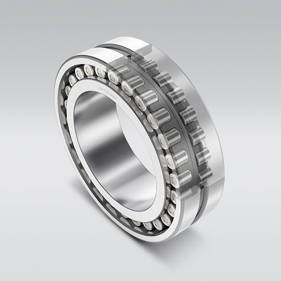 APTSURF High-Rigidity Cylindrical Roller Bearings