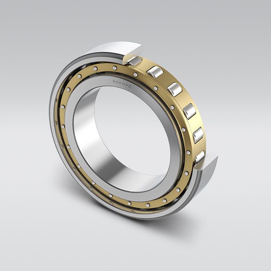 NSKHPS Cylindrical Roller Bearings